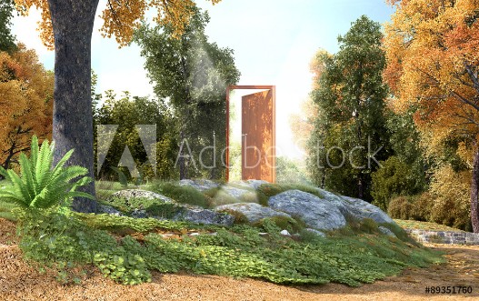 Picture of Ingresso Foresta Fantasy